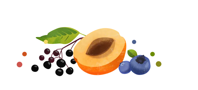 Ovocná dekorace patičky